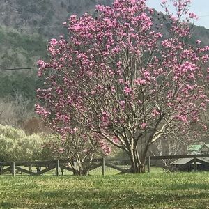 Meet your Posher, Beach